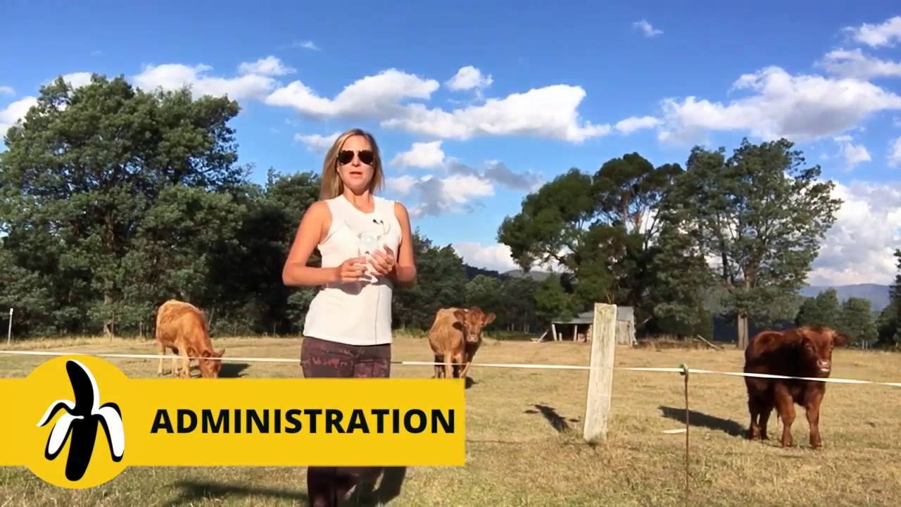 A woman conducting a marketing workshop for small businesses in a field.