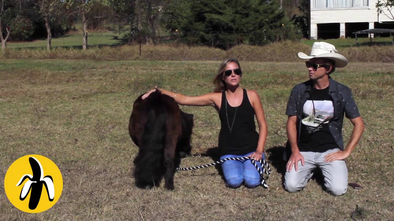A man and woman posing with a small horse at a marketing workshop, emphasizing small business marketing mentoring.