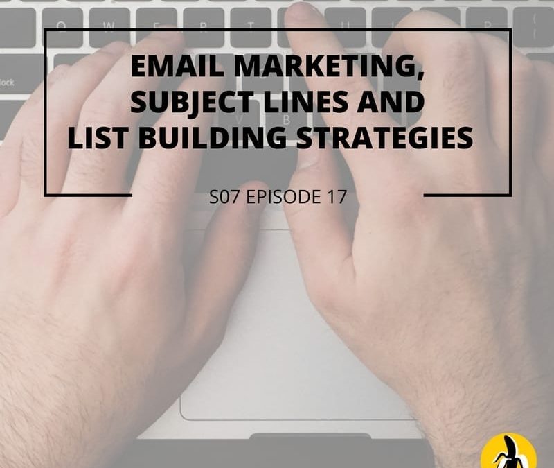 S07 Episode 17: Email marketing, subject lines and list building  strategies
