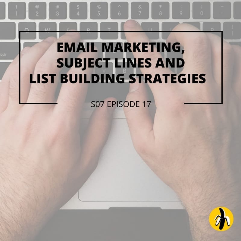 Email marketing and list building strategies for small business marketing.