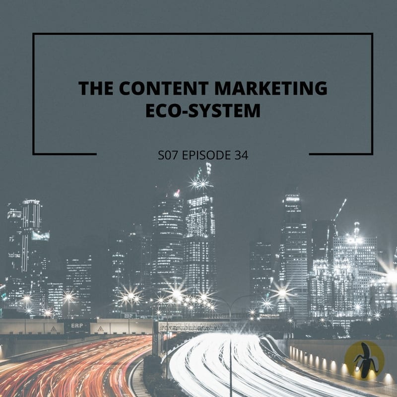Episode 35 of the content marketing eco-system explores mentoring and small business marketing.