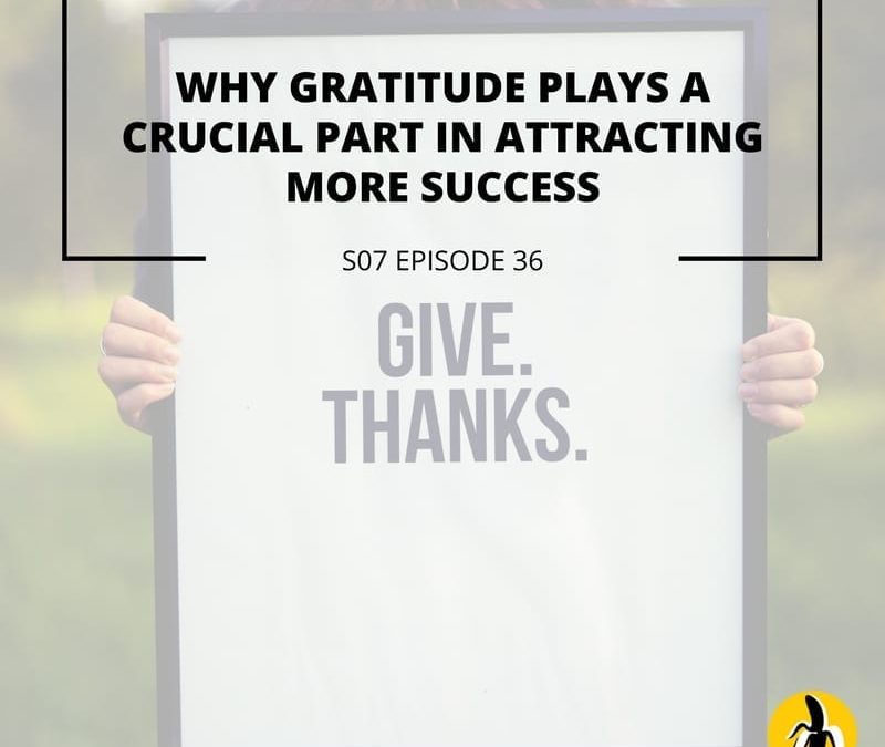 Why gratitude plays a crucial part in small business marketing.
