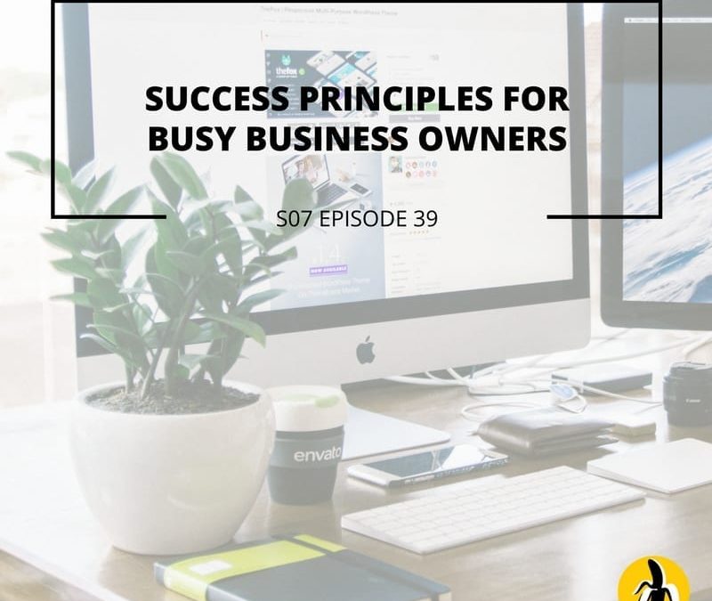 S07 EPISODE 39: Success principles for busy business owners