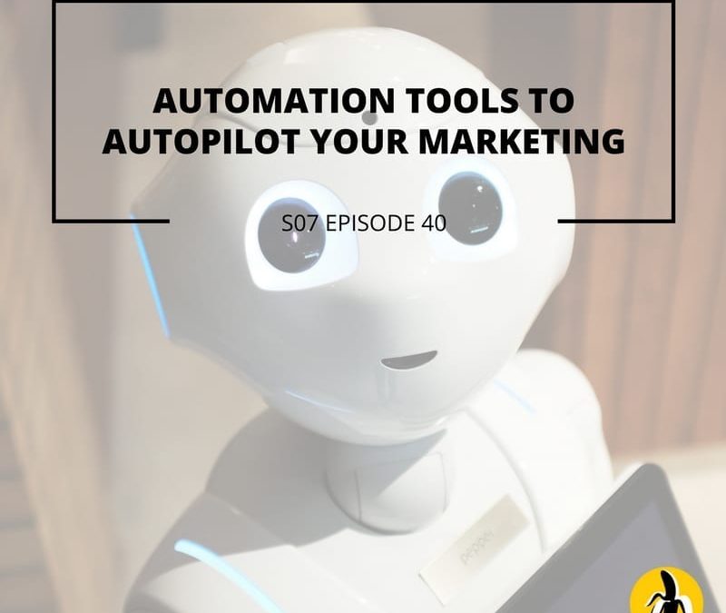 Automation tools for small business marketing.
