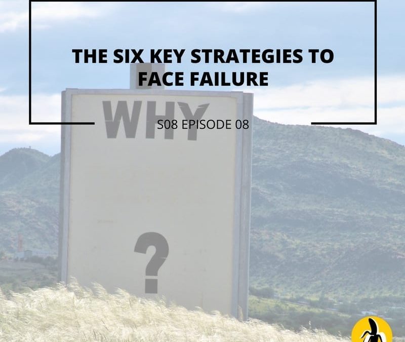 Six key strategies for small business owners to face failure by utilizing mentoring and attending marketing workshops.