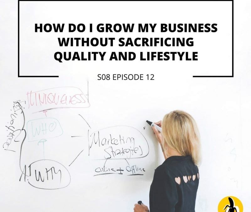 How do I grow my small business without sacrificing quality and lifestyle while receiving mentoring?