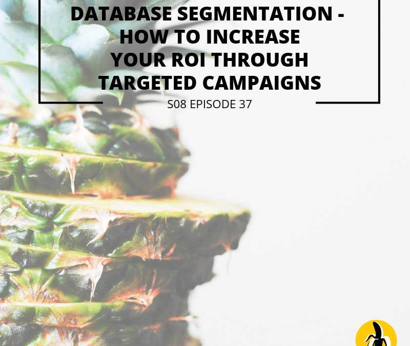 A pineapple with the words database segmentation increase your roi through targeted campaigns and small business marketing.