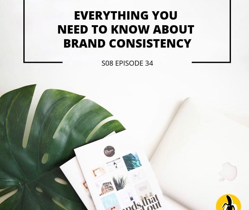 Discover the importance of brand consistency in small business marketing through our engaging marketing workshop. Gain valuable insights and mentoring on how to establish a strong and cohesive brand presence for maximum impact.