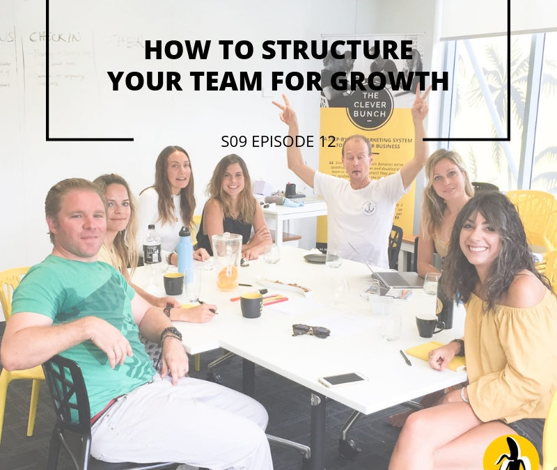Learn how to structure your team for growth with a marketing plan.