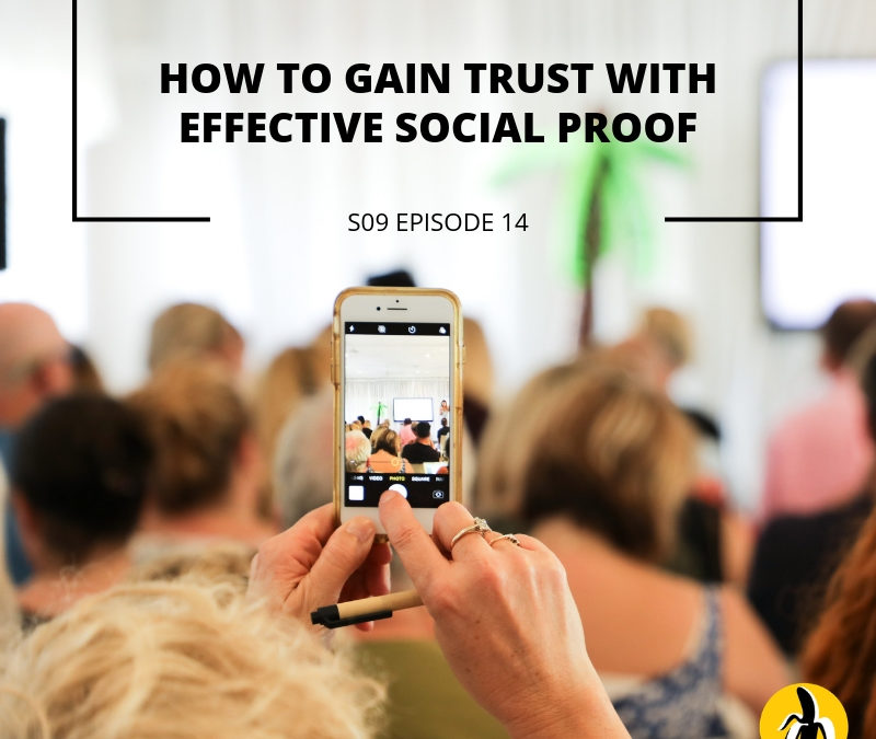 Learn effective social proof strategies for small business marketing.