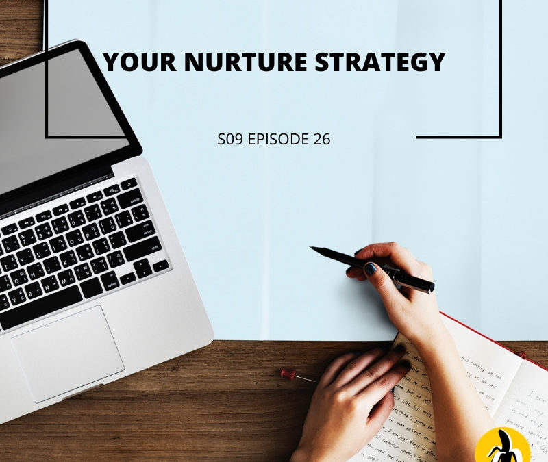 Welcome to episode 25 of Your Nurture Strategy, where we dive into the world of small business marketing. Join us as we discuss effective marketing plans and strategies in our interactive marketing workshop.