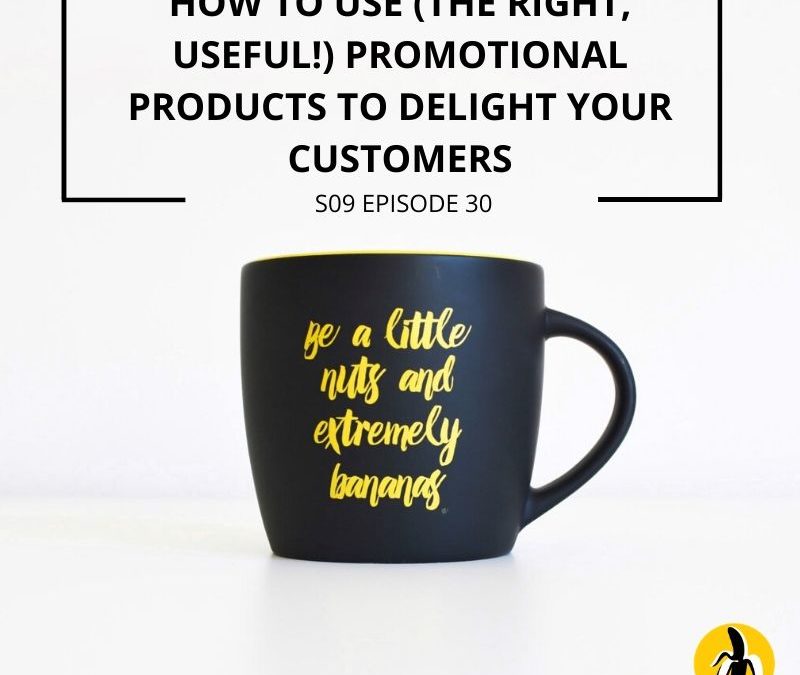 S09 EPISODE 30: How to use (the right, useful!) promotional products to delight your customers