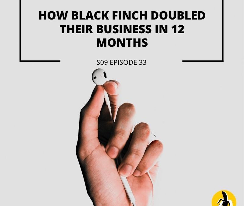 How black finch used a marketing plan to double their business in 7 months.
