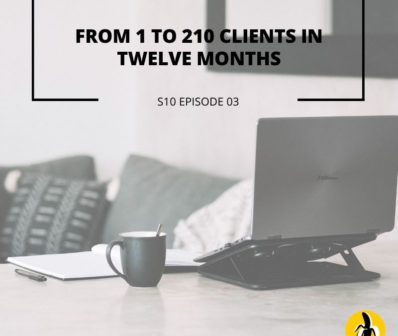 From 1 to 20 clients in twelve months through a marketing plan.