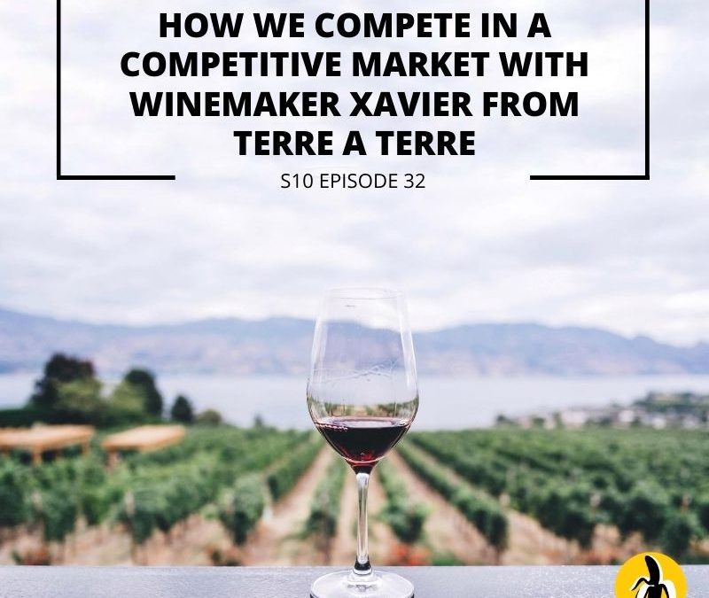 Discover effective small business marketing strategies with winemaker Xavier from Terre.