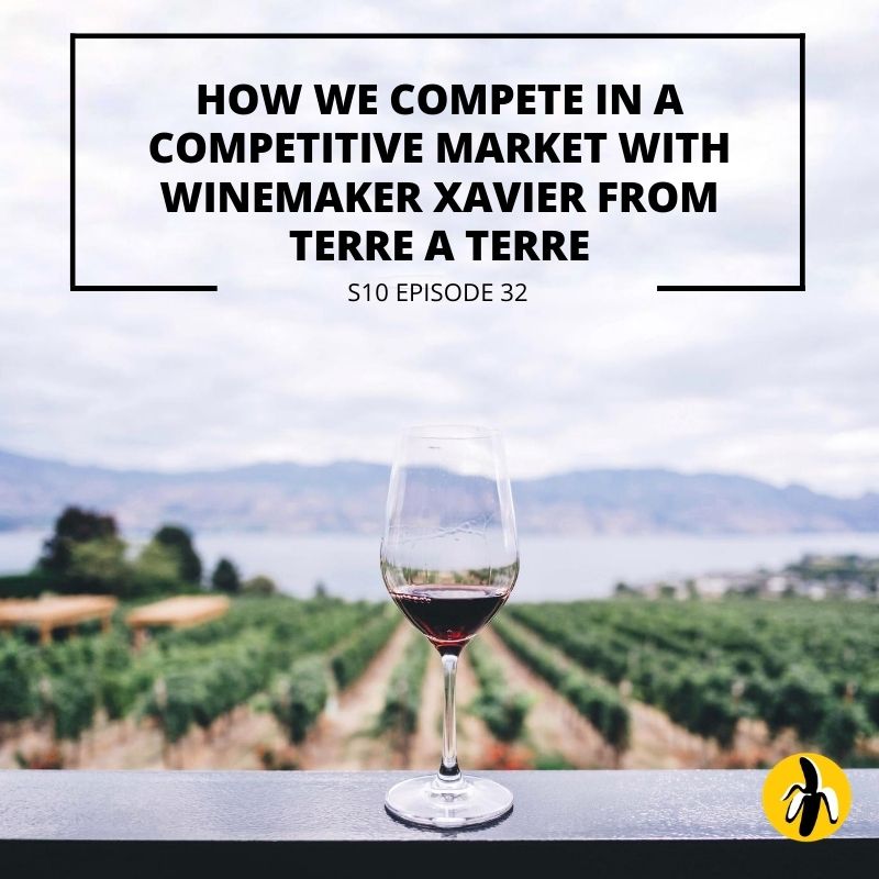 Discover effective small business marketing strategies with winemaker Xavier from Terre.
