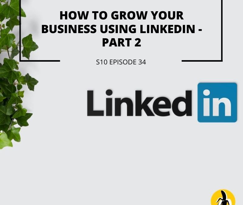Learn small business marketing strategies and techniques on LinkedIn in part 4 of our marketing workshop. Grow your business using an effective marketing plan.