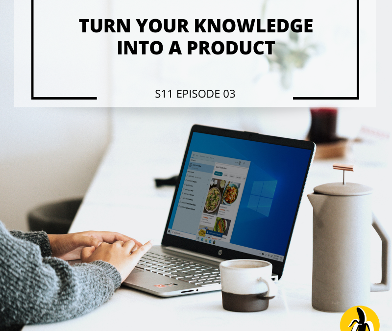 S11 EPISODE 3: Turn Your Knowledge Into a Product