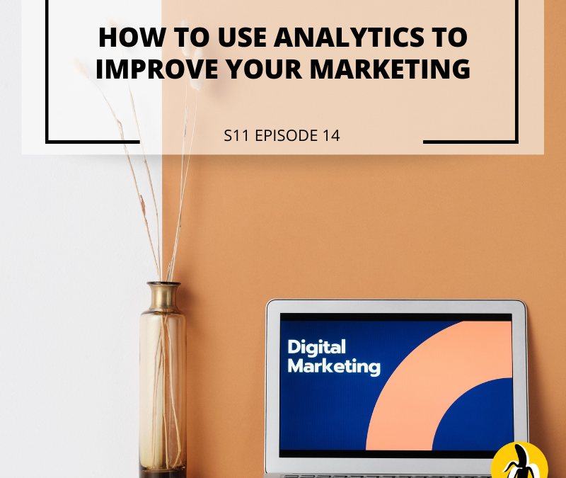 S11 EPISODE 14: How to use analytics to improve your marketing