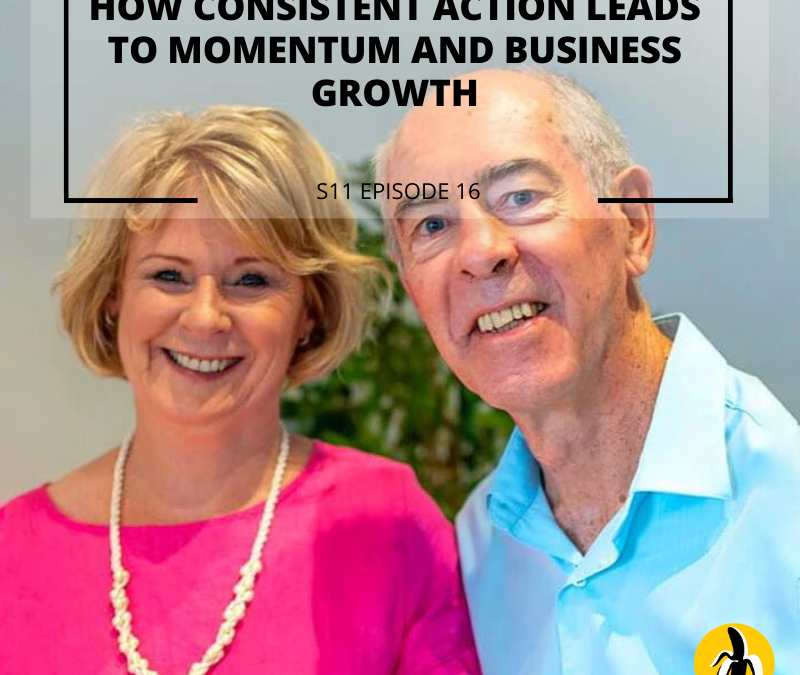 S11 EPISODE 16: [Entrepreneur Spotlight] How consistent action leads to momentum and business growth