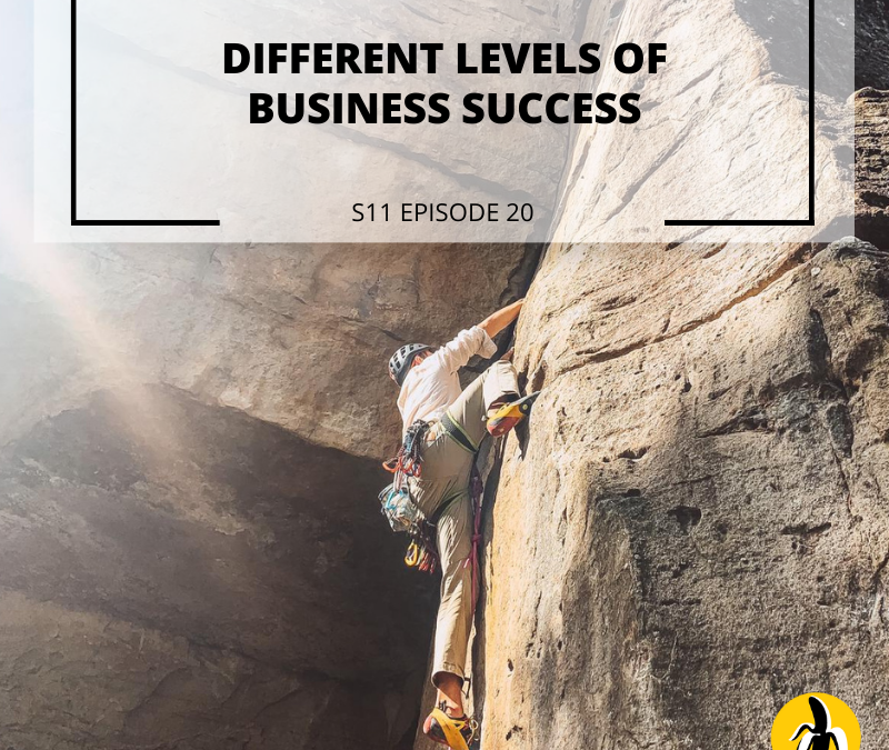 S11 EPISODE 20: Different Levels of Business Success