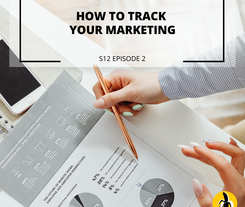 S12 EPISODE 2: How to Track Your Marketing