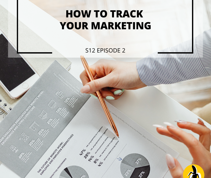 Discover effective strategies for tracking your marketing efforts through a comprehensive marketing plan. This workshop is specifically designed for small businesses looking to enhance their understanding and implementation of successful marketing techniques.