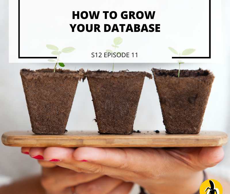 S12 EPISODE 11:  How to Grow Your Database