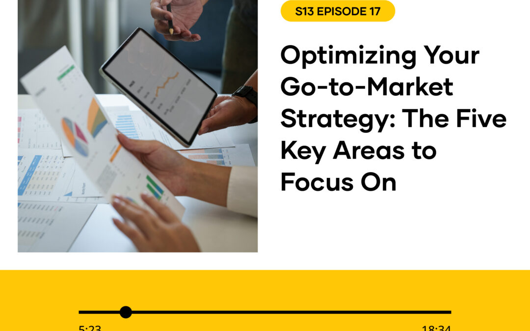 S13 EPISODE 17: Optimizing Your Go-to-Market Strategy: The Five Key Areas to Focus On