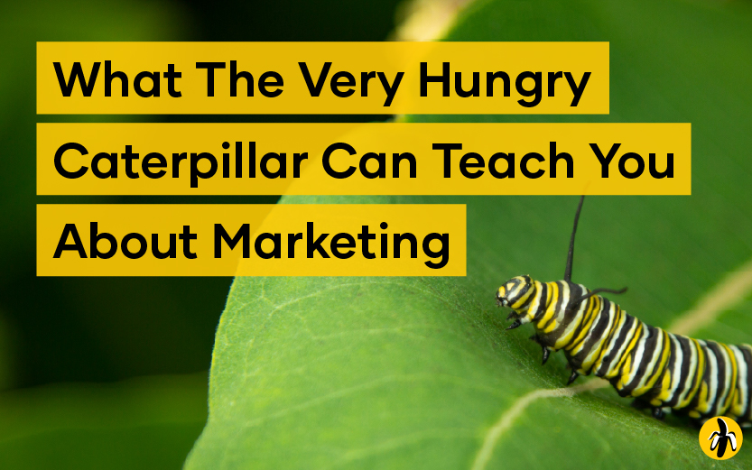What The Very Hungry Caterpillar Can Teach You About Marketing