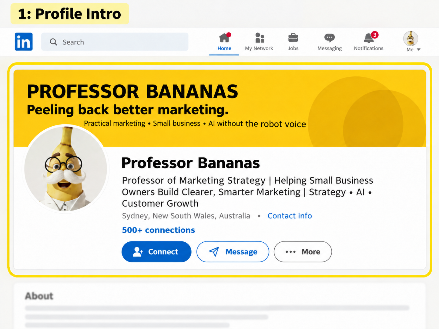 Professor Bananas LinkedIn profile intro showing a clear small business profile setup
