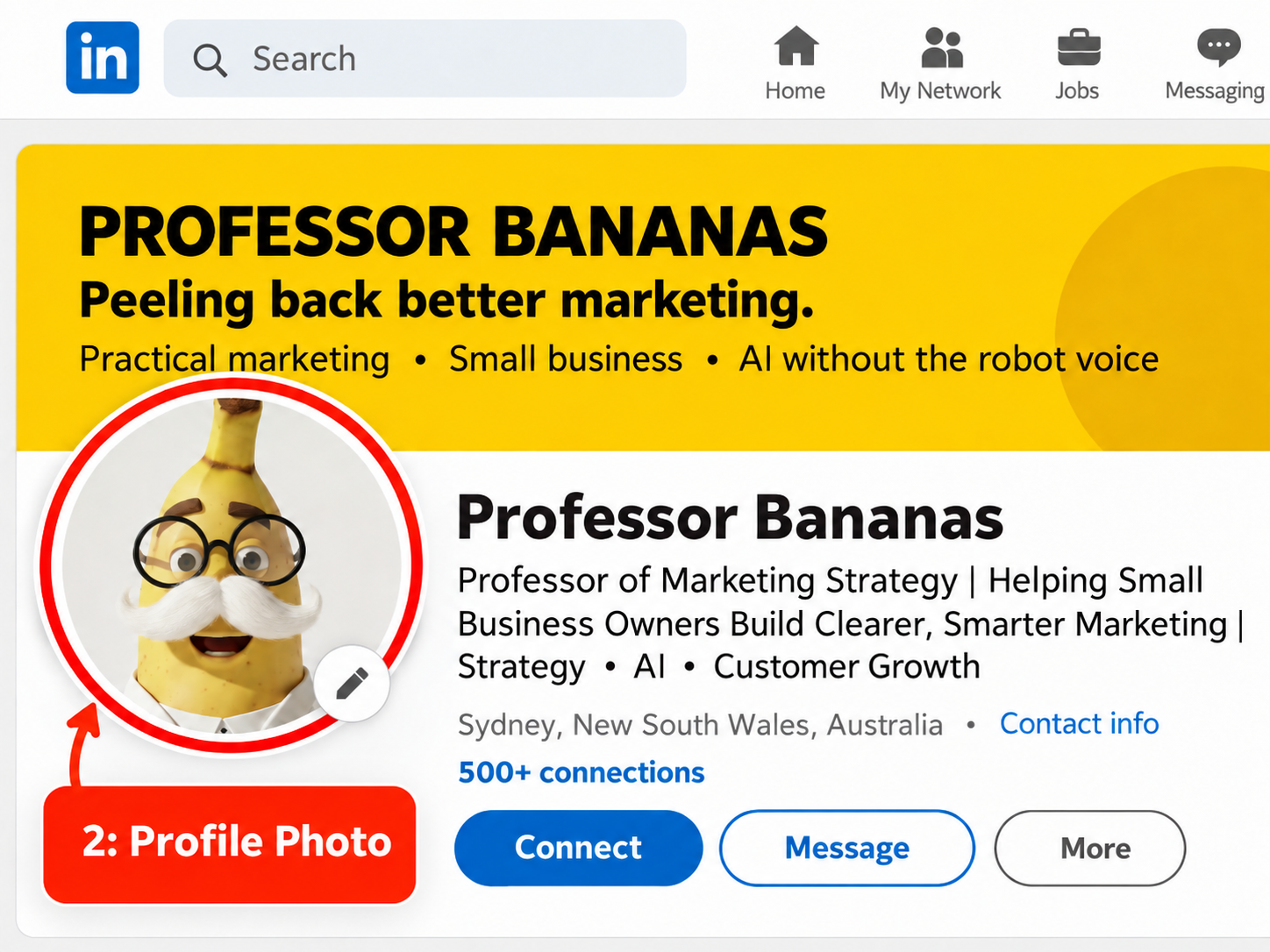 Professor Bananas LinkedIn profile photo example
