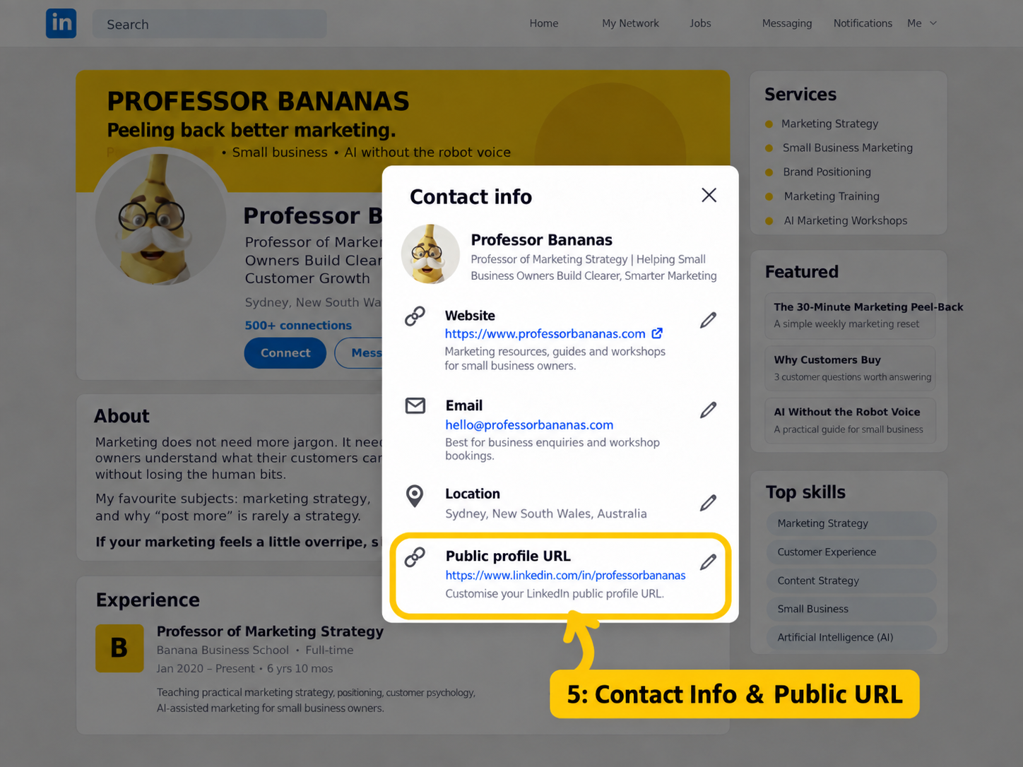 Professor Bananas LinkedIn Contact Info and public profile URL example